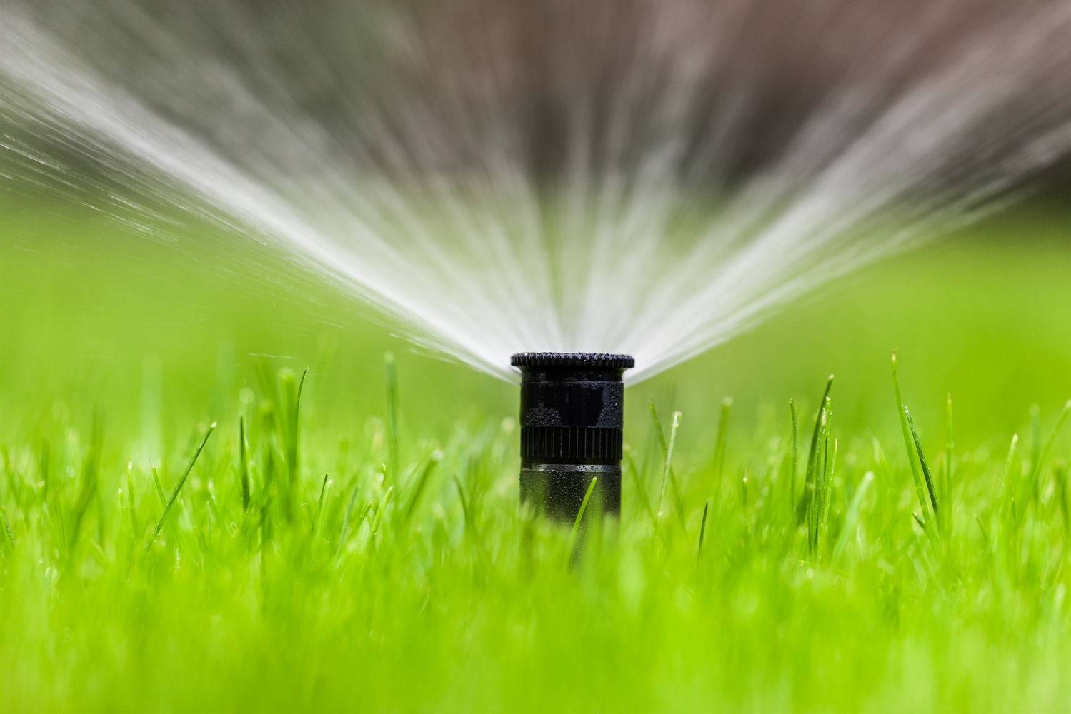 Professional Irrigation Services in Lakeside, TX with Guaranteed Satisfaction