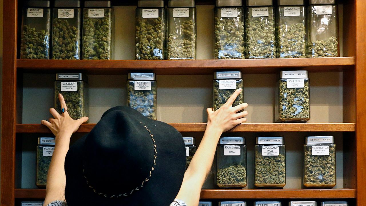 Réglementation sur le cannabis legal espagne : Ce que vous devez savoir