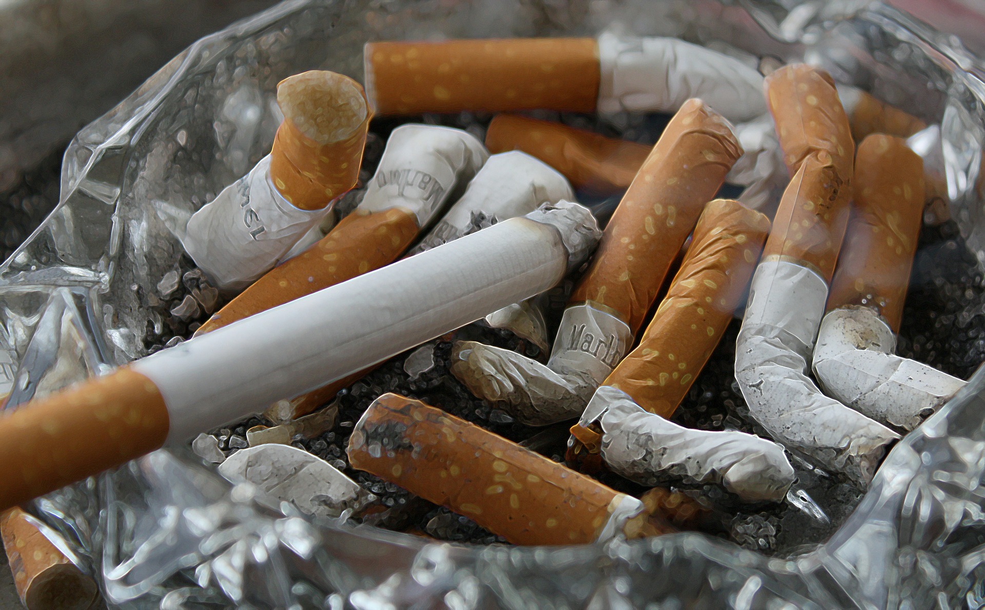 Discover Smokes Canada with My Native Smokes