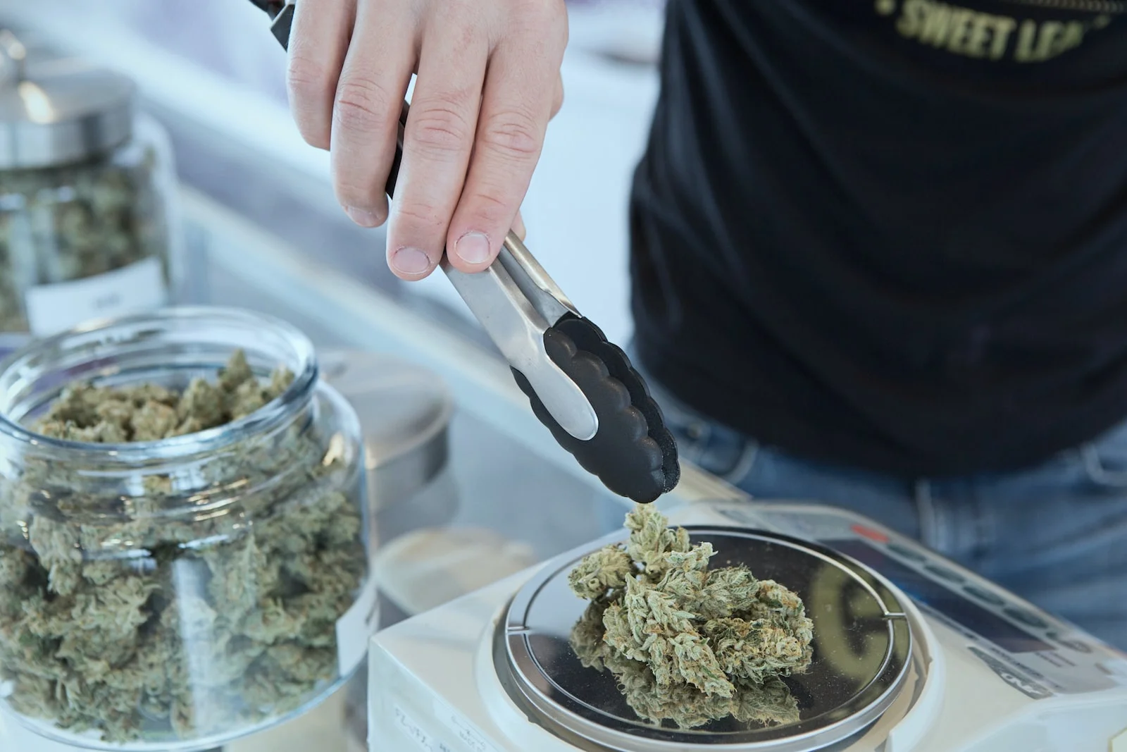 What tourists should know about a Weed Club Madrid