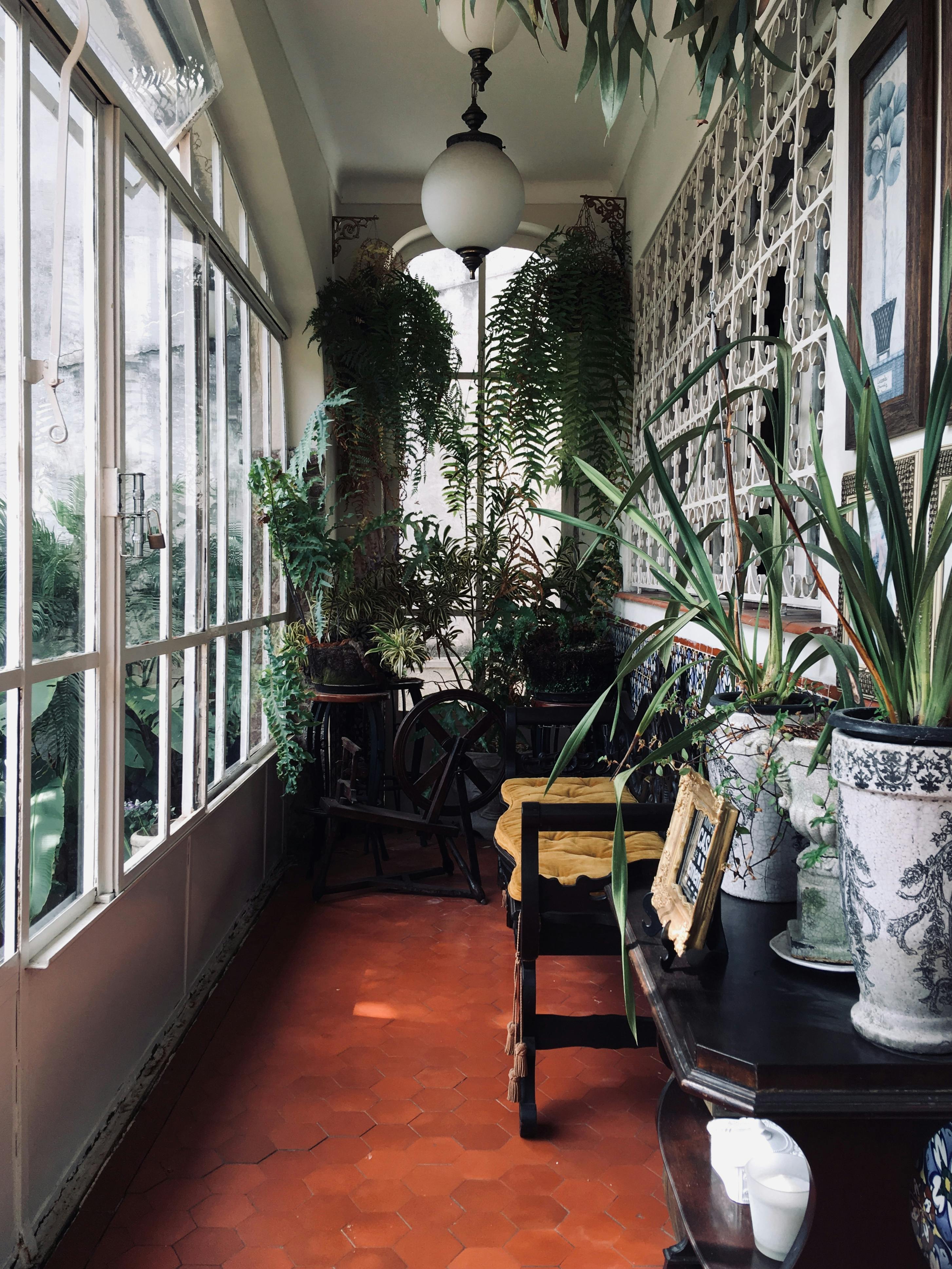 Sunroom Conversion Projects That Maximize Light and Comfort