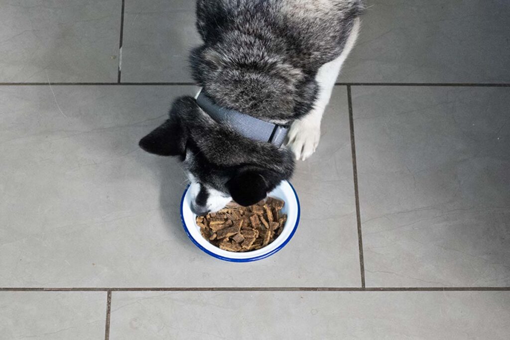 Badlands Ranch Dog Food and Its Commitment to Animal Welfare