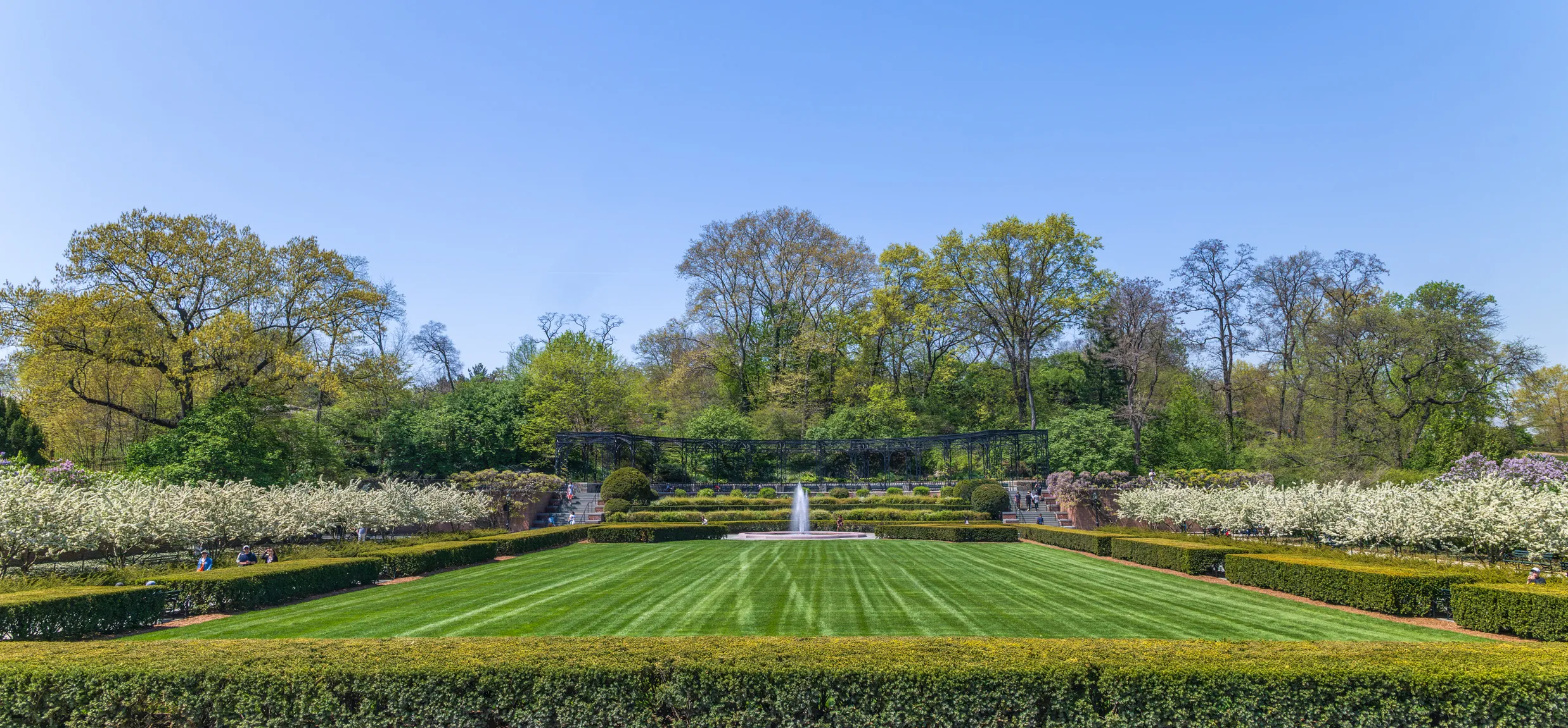 Markise elektrisch 5m: Ihre Terrasse in neuem Licht genießen