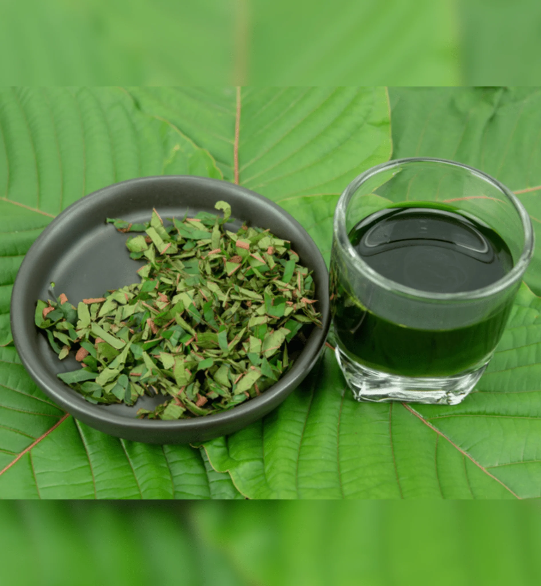 Health Meets Flavor: Organic Kratom Drinks Thailand Style