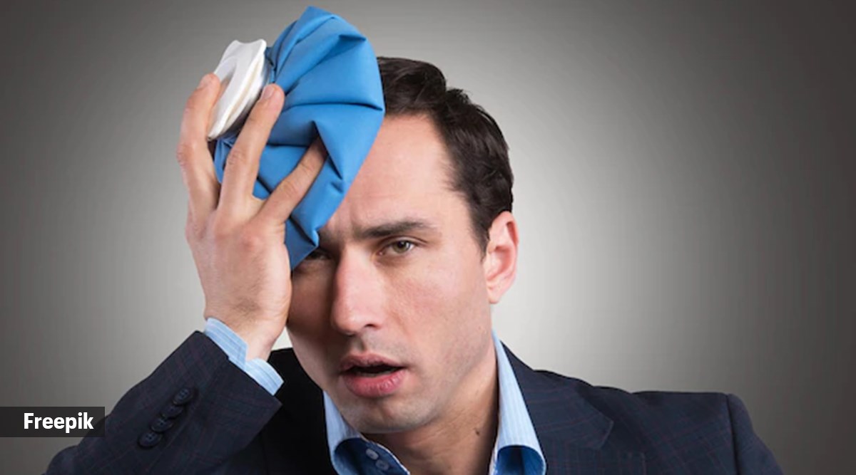 Insulated Pallet Covers for Pharmaceutical and Food Shipping