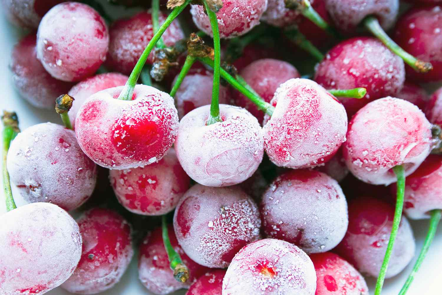 Nonprofit Food Assistance Programs – The Free Food Project