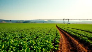 Efficient land irrigation system nurturing vibrant crops in a lush agricultural landscape.