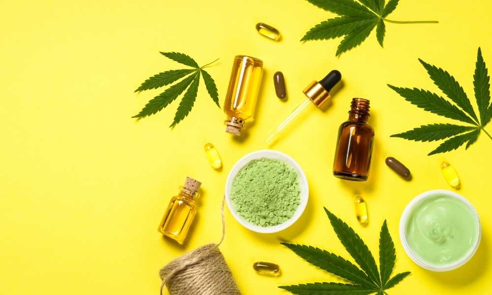 Miami Rave: Delivering Consistent Quality in Every Bite